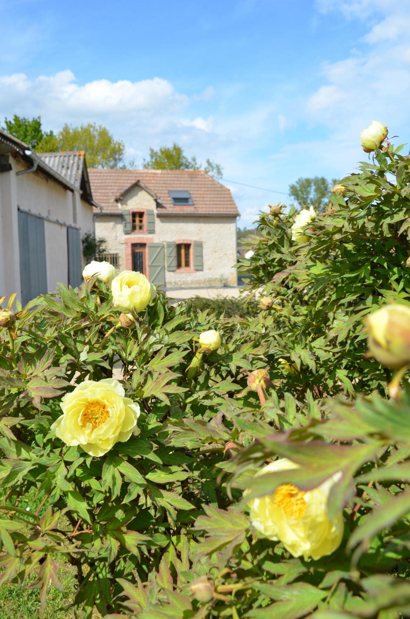 Ecogite Rural La Cle Des Champs Peyrelongue-Abos Kültér fotó