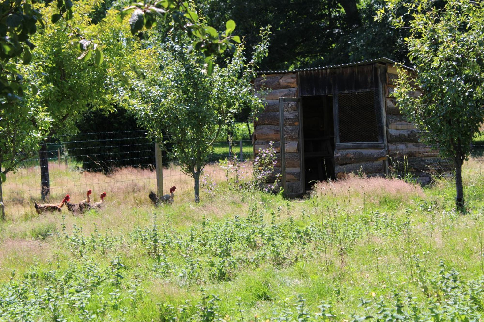 Ecogite Rural La Cle Des Champs Peyrelongue-Abos Szoba fotó